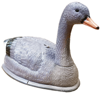 Sodo dekoracija "Antis" Besk Garden Duck 4750959113059, 38 cm x 22 cm x 66 cm, oranžinė sp./pilka sp.