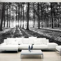 Fototapete Artgeist Grey Wilderness 5XLFT1019SAM, 315 cm x 441 cm