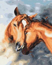 Tapymas pagal skaičius Picture Paint It! Affectionate Horses, įvairių spalvų