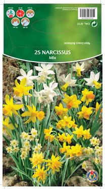 Svogūninės gėlės narcizas MIX, 8 - 10 mm, 25 vnt.