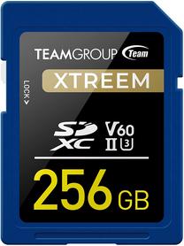 Atminties kortelė Team Group Xtreem, 256 GB