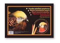 Piešimo popierius SMLT, A4, 120 g/m², 30 cm x 21 cm, 10 lapų vnt.