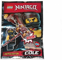 Priedas LEGO® Ninjago Cole 891839