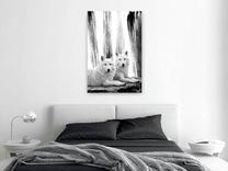 Reprodukcija Artgeist Forest Love N9767-XXL, 80 cm x 120 cm