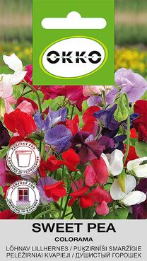 Sėklos Okko pelėžirnis Colorama, 2 g