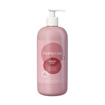 Matu maska Inebrya Prep Regenerating, 1000 ml