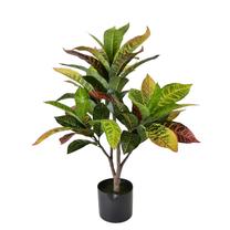 Dirbtinis augalas vazone Mondex Viridis, žalia sp./įvairių spalvų, 77 cm x 15 cm