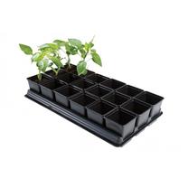 Garšaugu pods, plastmasa, 54.5 cm x 31 cm, melna krās.