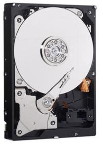 Kietasis diskas (HDD) Western Digital WD5000AZLX, 3.5", 500 GB