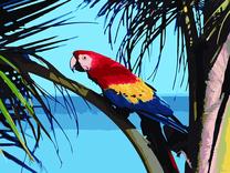 Tapymas pagal skaičius Hobby Maniak Parrot 491863, įvairių spalvų