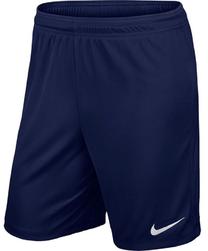 Šorti, vīriešiem Nike, zila krās., s