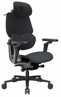 Žaidimų kėdė Thunder X3 Flex Pro, 45 - 50 x 50 x 120 - 140 cm, pilka