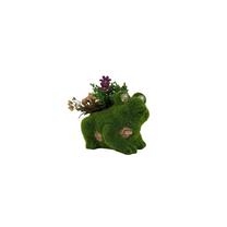 Dekoratyvinis vazonas "Varlė" Garden Center QN23Z02R, 23 cm x 18.5 cm x 17 cm, žalia sp.