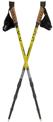 Šiaurietiško ėjimo lazda Enero NewIcon, 67 - 135 cm