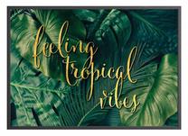 Pilt DecoKing Palmforest, 70 cm x 50 cm