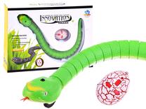 Радиоуправляемая игрушка Innovation Snake Snake, 38 см, зеленый цв.