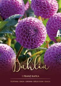 Sibullilled