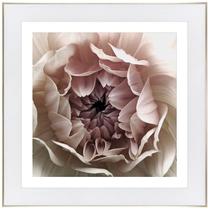 Фотокартина White Dalia, 70 см x 70 см