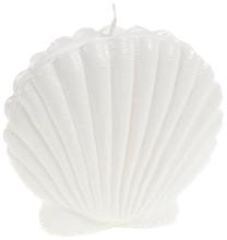 Свеча Amadeus Coquille, 3 час, белый цв.
