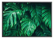 Pilt DecoKing Monstera, 100 cm x 70 cm
