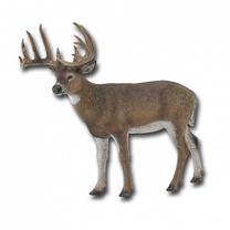 Фигурка-игрушка Collecta Deer 88832, коричневый цв.