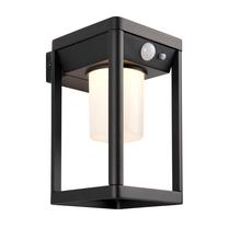 Āra sienas lampa Endon Hallam Pir, 2.7W, LED, IP44, melna krās./caurspīdīga krās., 10 cm x 17 cm