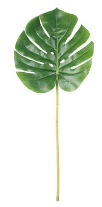 Dirbtinis augalas, monstera Splendid Monstera, žalia sp., 51 cm