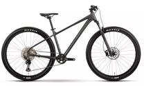 Dviratis kalnų Raymon Nayta Ultra, 29 ", L rėmas, antracito sp./juoda sp.