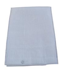 Tentas Elem Technic, 4 x 10 m, 170g/m² - skaidrus