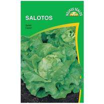 Sėklos, salotos