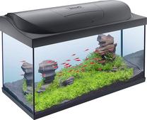 Akvariumas Tetra Starter Line LED, juoda sp., su įranga, 105 l