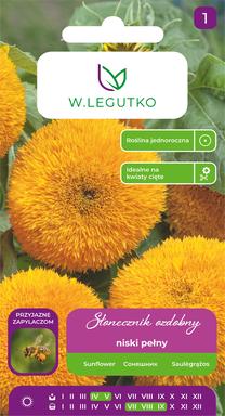 Sėklos saulėgrąža TEDDY BEAR, 2 g
