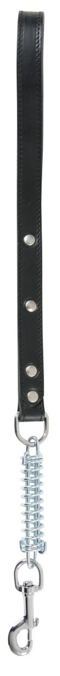 Šuns pavadėlis Zolux Spring Lead, juoda sp., 0.5 m x 25 mm