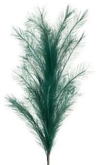 Dirbtinė šakelė, pampų žolė 672, žalia sp., 104 cm