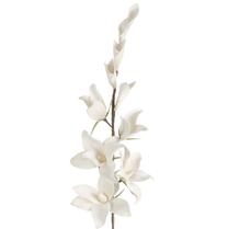 Искусственный цветок Flore Flower Decor, белый цв., 108 см x 19 см