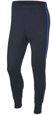 Kelnės, vyrams Nike, mėlyna sp., s