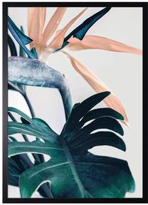 Фотокартина Monstera and Strelitzia No.2, 50 см x 70 см