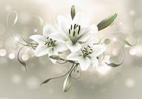 Fototapete Artgeist Lily - Flower Of Masters, 140 cm x 200 cm