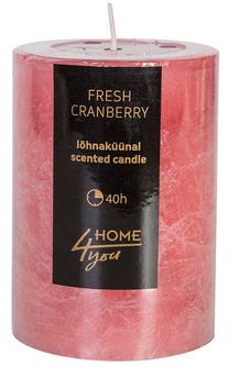 Žvakė, aromatinė Home4you, 40 h, rožinė sp.