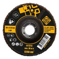 Slīpēšanas disks Forte Tools, 125 mm x 22.23 mm