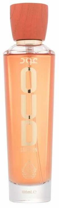 Parfimērijas ūdens House Of Perfumes Oud, 100 ml
