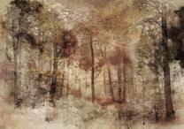 Fototapete Artgeist Lost In The Woods, 315 cm x 315 cm