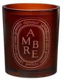 Žvakė, aromatinė Diptyque Ambre, 75 - 90 h, 300 g, oranžinė sp.
