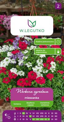 Sėklos verbena MIX, 0.3 g