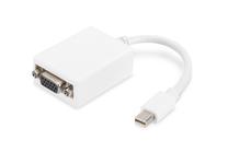 Adapteris Digitus DisplayPort Mini - D-Sub Mini Display port male, HD15 jack, 0.15 m, balta sp.