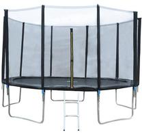 Batutas Malatec Garden Trampoline 11987, 366 cm, su tinklu, su kopėčiomis