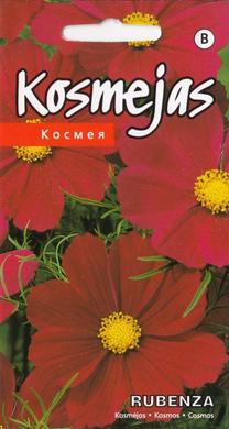 Sēklas kosmejas Rubenza Seeds, 3 g