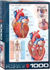 Dėlionė Eurographics The Heart 6000-0257, 48.9 cm x 67.6 cm, 1000 vnt., mėlyna sp./raudona sp./rožinė sp.