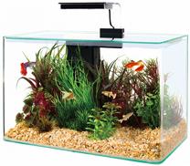 Akvariumas Zolux Clear Aqua Kit 309018, skaidri sp./juoda sp., su įranga, 17 l