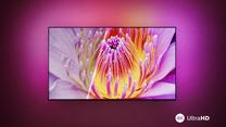 Televizorius Philips 55PUS8009/12, 55 ", 4K UHD